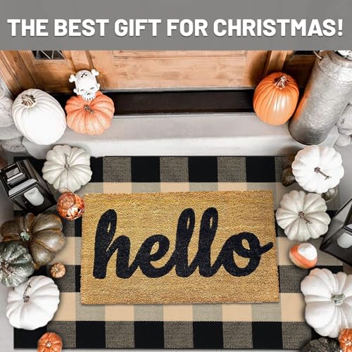IOHOUZE Buffalo Plaid Checkered Rug 27.5 x 43 Inches Front Door Mats, Washable Area Rugs for Front Porch Welcome Mats Indoor Outdoor, Entryway Door Rug for Entryway, Home Entrance, Tan Black - color: Tan and Black, size: 2'4" x 3'8" (Rectangular)