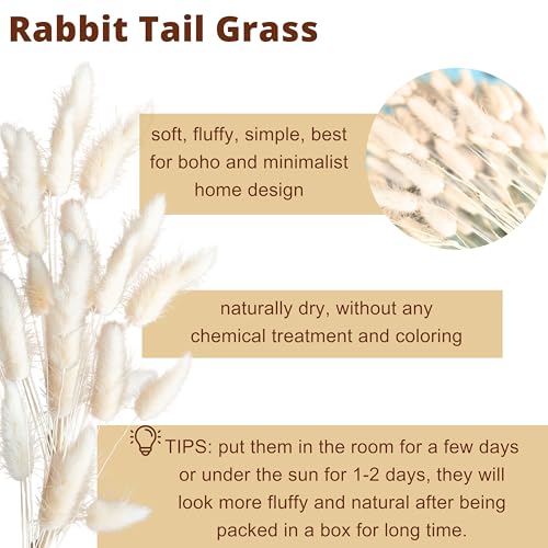LaLaGreen Wood Wall Planters (8 Inch, 2 Pack) 150 Stalks Rabbit Tail Grass White Dried Flower Wooden Box Vase for Indoor Hanging Planter Modern Rustic Decor Home Living Room Bathroom Trendy Decoration - color: Bunny Tail Cream White