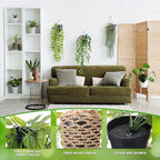 Giegxin 10 Set Fake Hanging Plant with Macrame Basket Summer Mini Artificial Macrame Plant Hanger with Woven Basket and Butterfly Ivy Faux Vines Eucalyptus Leaf for Indoor Home Wall Shelf Decor