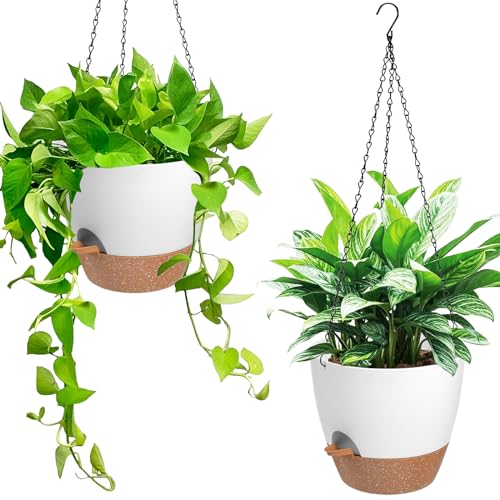 Vanslogreen Hanging Planters for Indoor Outdoor Plants, 2 Pack Self Watering Hanging Pot with Drainage Holes & Removable Tray (White, 6'') - color: White, size: 6''