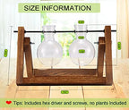 Kingbuy Glass Desktop Planter with Retro Wooden Stand, 2 Bulbs | Plant Terrarium Vase, Indoor Office Desk Decor, Accessories - size: 2 Bulb Vase