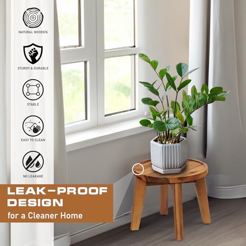 Demigo Indoor Plant Stand, Acacia Wooden Decorative Plant Shelf with Spill-Proof Tray, Stable 8” Tall Flower Holder for Heavy Pots, Gardening Display for Decor Living Room Patio - Natural Brown - color: Natural Acacia, size: Medium