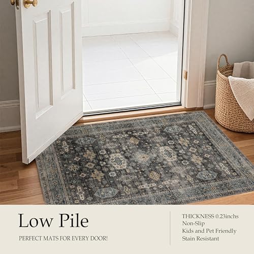 Ruaruarug Washable Area Rug 2x3, Silver | Ultra Soft, Non Slip, Stain & Fade Resistant, Pet & Kids Friendly, High Traffic Areas - color: Silver, size: 2' x 3' (Rectangular)
