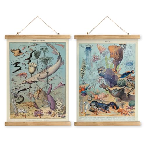 2 Pack Vintage Poster Hanger Frame, Retro Style Wall Decor Art Painting, Patterns are Printed on Linen Without Fading, Living Room Office Classroom Bedroom Playroom Apartment Decor. (Sea Creatures) - color: 2 x Ocean Life, size: 23"L x 16"W