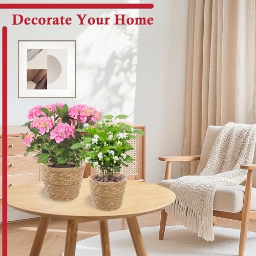 3 Pack Plant Basket for Indoor, Wicker Seagrass Plant Pots with Liner, Macrame Plant Hanger, Woven Natural Planter Baskets Outdoor for Flower, Balcony,Home