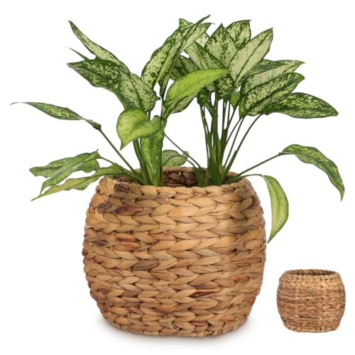 Cabilock Handwoven Hyacinth Planter Basket, Natural Woven Rattan Storage Basket for Small Plants, Eco-Friendly Indoor & Outdoor Decorative Pot Cover for Farmhouse, Boho Home Decor