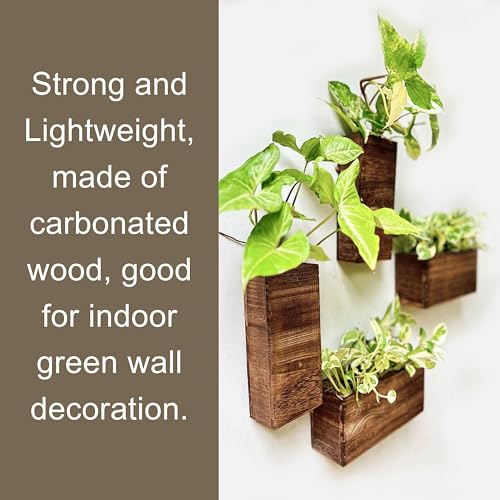 LaLaGreen Wood Planter Box for Plants (4 Pack) Wooden Hanging Wall Planters for Indoor Plant Holder Vase for Dried Flowers, Modern Living Room Bedroom Kitchen Home Office Decor - size: 4-pc Set