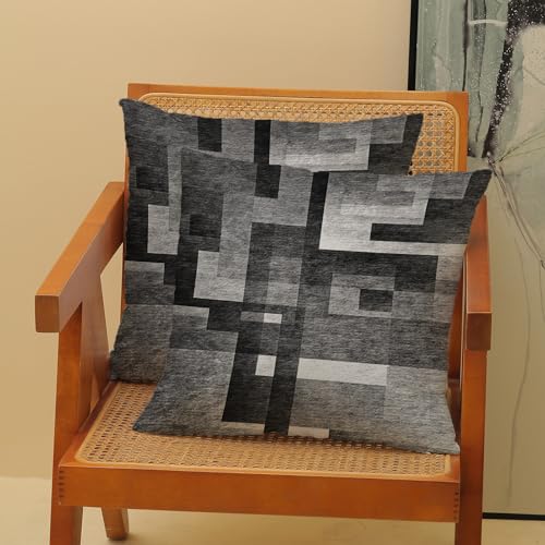 BETGINY Black White Grey Pillow Covers 16x16, Abstract Art Outdoor Decorative Throw Pillows for Couch, Modern Geometry Decor Cushion Cover 2 Pcs Soft Farmhouse Square Pillowcase for Bed Car Safa - color: Black, size: 16" x 16" (Pack of 2)