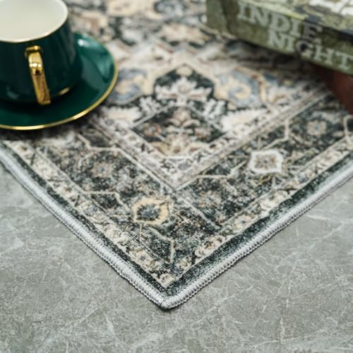 Washable Oriental Area Rug - 2x3 Rugs for Living Room Soft Carpet for Bedroom Waterproof Floral Distressed Indoor Stain Resistant Non-Shedding Floor Carpets (Black/Grey, 2x3) - color: Black/Grey, size: 2' x 3' (Rectangular)