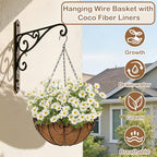 12 inch Metal Hanging Baskets for Plants Outdoor, 2 Pack Metal Wire Hanging Basket Planter with Coco Liner Flower Pots for Indoor Outdoor Garden Porch Patio, Heart-Shaped - size: 12" x 2 Pack, style: Heart