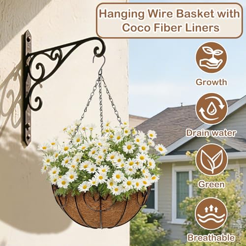 12 inch Metal Hanging Baskets for Plants Outdoor, 6 Pack Metal Wire Hanging Basket Planter with Coco Liner Flower Pots for Indoor Outdoor Garden Porch Patio, Heart-Shaped - size: 12" x 6 Pack, style: Heart