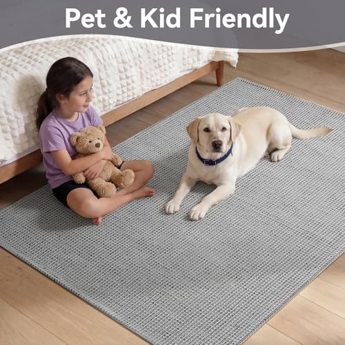 3x5 Rugs for Entryway, Woven Indoor Washable Door Mat, Non Slip Boho Small Rug for Kitchen, Soft Low Pile, Front Door Area Rug for Entrance, Living Room, Bedroom, Laundry, Bathroom (3'x5', Grey) - color: Grey, size: 3' x 5'