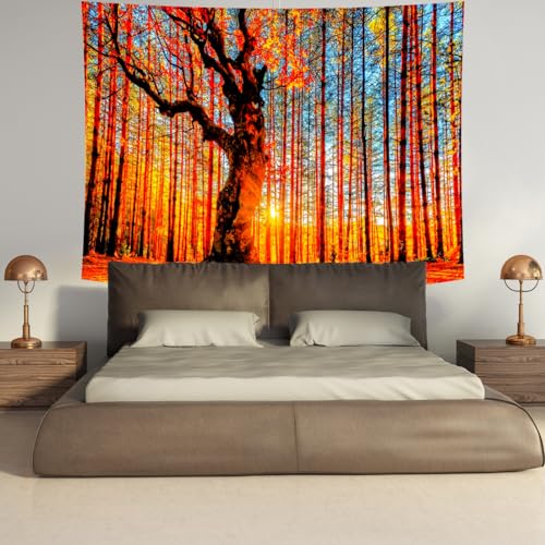 Delur Sunset Forest Tapestry Tree of Life Tropical Rainforest Landscape Tapestry Wall Hanging Scenic Nature Woodland Natural Sunrise Headboard for Bedroom Living Room Home Decor (51.2" x 59.1") - color: Sunset Forest, size: 51.2"L x 59.1"W
