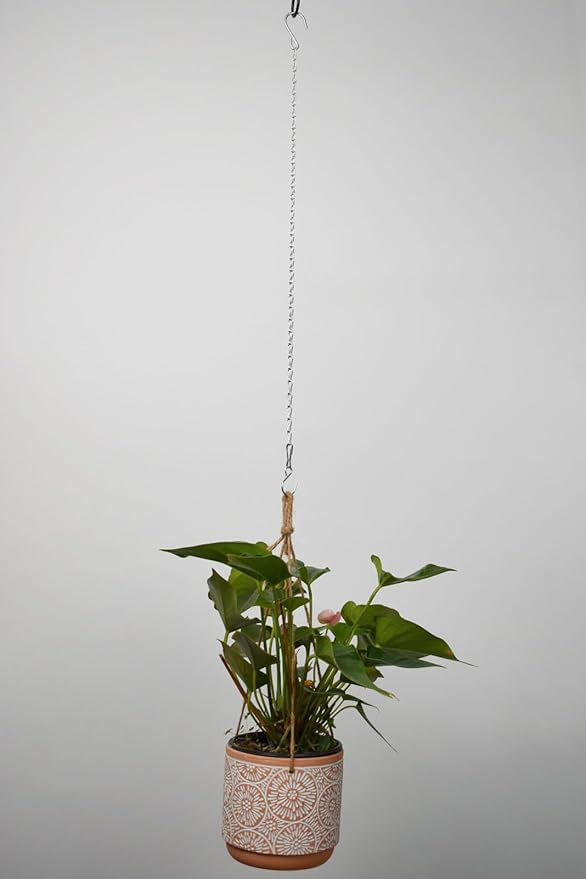 Chain for Hanging Plants,25 Inch Silver Hanging Chain Basket Kits with Hooks for Bird Feeder Plant Extender Porch Wind Chime (Silver, 25 Inch-4PCS)