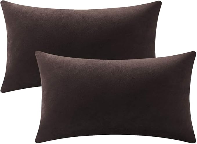 Lumbar Pillow Covers 12x20 Chocolate Brown: Pack of 2 Cozy Soft Velvet Rectangular Modern Luxury Decorative Throw Pillow Cases for Sofa Couch Living Room Bed Home Decor