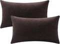 Lumbar Pillow Covers 12x20 Chocolate Brown: Pack of 2 Cozy Soft Velvet Rectangular Modern Luxury Decorative Throw Pillow Cases for Sofa Couch Living Room Bed Home Decor