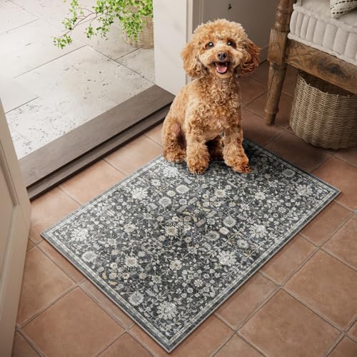 Machine Washable Entryway Small Area Rugs: Soft Non-Slip Low Pile Door Mat Indoor Entrance 2x3 ThrowRug for High-Traffic Areas Kitchen, Hallway, Farmhouse Decor - color: Black/Gold/Multi, size: 2'x3'