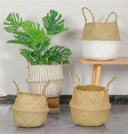 DOKOT Seagrass Plant Basket with Handles, Wicker Woven Storage Basket (8.3inch Diameter x 9inch Height), Natural - size: M (8.3" D x 9" H)