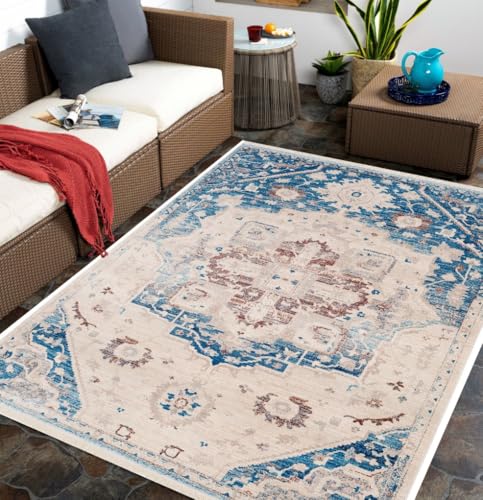 Blue Beige Distressed Pattern Boho Washable Rug for Living Room Bedroom Diningroom Office Playroom Nursery Room Vintage Area Rugs 2x3 Soft Non Slip Kitchen Hallway Indoor Large Carpet - color: B, size: 2x3ft