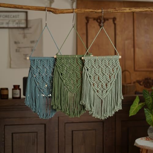 Small Macrame Wall Hanging Decor Boho Tapestry for Bedroom Living Room Dorm Nursery and Office, Cute Aesthetic Wall Art for Small Spaces for Teen Girls and Home Decor (Light Green, 16*10 Inch) - color: Light Green