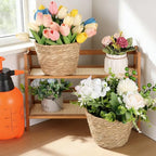 6 Pack Seagrass Planter Basket for Indoor Plants, 7 Inch Woven Plant Pot Cover with Leak-Proof Liner, Rustic Boho Flower Container for Home Decor, Organizing, and Concealing Nursery Pots
