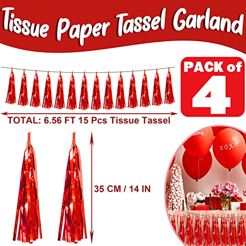 4P Red Foil Fringe Metallic Tassel Streamers Banner Tassel Garland for Parade Floats, Bachelorette, Wedding, Birthday, Halloween, Christmas, Bridal/Baby Shower Party Decorations - color: Red
