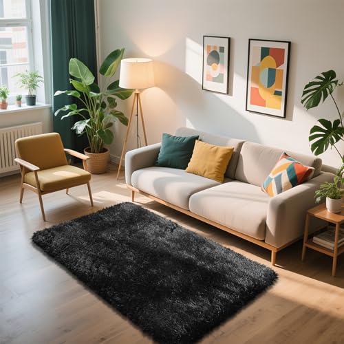 Shag Area Rug for Bedroom 3x5,Black Fluffy Area Rugs for Living Room,Soft Fuzzy Rug Non-Shedding Indoor Plush Carpet for Bedroom Dorm Home Decor - color: Black, size: 3' x 5' (Rectangular)
