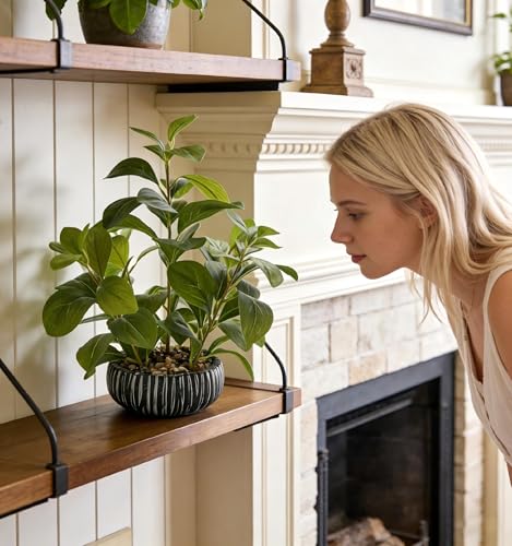 14" Artificial Broad Leaf Potted Plant in Black and White Ceramic Bowl Planter Lifelike Two-Tone Leaves Small Tabletop Fake Plant for Desk Bathroom Shelf Decor - color: Ficus