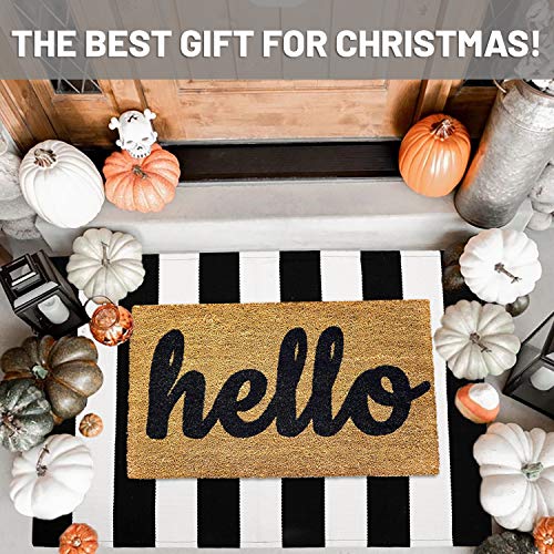 IOHOUZE Black White Striped Rug -27.5" X 43" Front Door Mats Outdoor,Washable Rug for Front Porch Decor,Spring Summer Welcome Mats Outdoor Indoor, Doormat for Farmhouse/Entryway/Home Entrance - color: Black White Stripe, size: 2'4" x 3'8" (Rectangular)