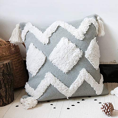LEVINIS Grey and White Throw Pillow Covers with Tufted Tassel 18 x 18 Inch, Decorative Woven Bohemian Decor Pillow Cases, Cotton Cushion Cover for Couch, Sofa, Bed, Party, Car, Office - color: Grey White, size: 18" x 18" (Pack of 1)
