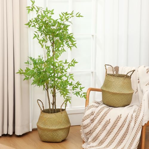 Qunclay 4 Pcs Woven Seagrass Baskets Belly Basket Folding Boho Natural Plant Pot with Handles Round Decorative Wicker Large Indoor Planter for Home Outdoor Tree Planters Decor (XL,12''dx13.8''h) - size: XL,12''Dx13.8''H