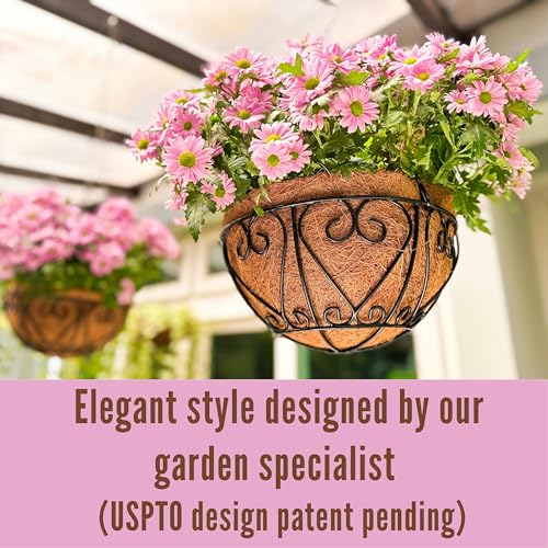 LaLaGreen Hanging Baskets for Plants (14 Inch, 6 Pack) Hanging Flower Pots with Coco Liner, Black Metal Wire Round Basket Plant Holder with Hanger Hook Chain, Outdoor Patio Deck Balcony Garden Decor - size: 14" x 6 Pack