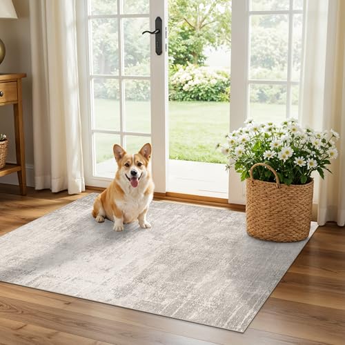 HAOYUNLAI 2x3 Entryway Area Rug: Washable Kitchen Bedroom Carpet Soft Abstract Laundry Bathroom Rugs with Non-Slip Backing Easy-Clean Distressed Home Decor Floor Mat for Pets Family (2x3,Beige/Cream) - color: Beige/Cream, size: 2' x 3' (Rectangular)