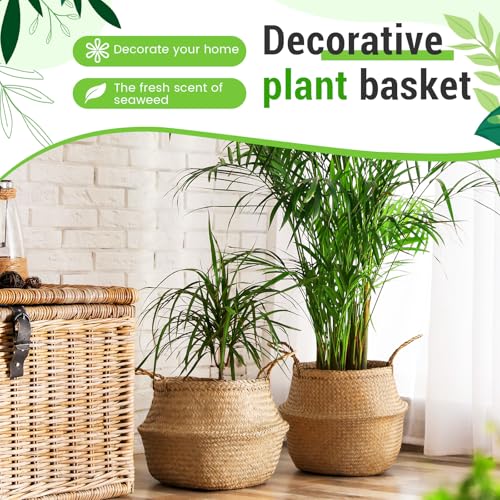 Knitgrip Large Wicker Plant Basket with Handle 10 Inch Woven Seagrass Belly Basket and Artificial Moss for House Plants Picnic Grocery Laundry Storage Home Decor(Large,Original,2 Pack) - color: Original, size: Large