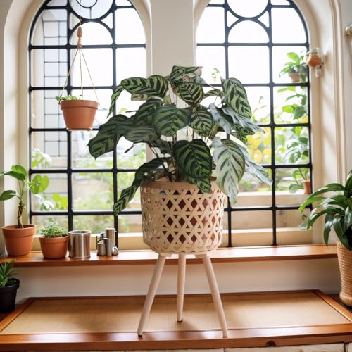 Boho Rattan Plant Stand Set of 2 – Handwoven Tall Elevated Wicker Plant Baskets for Indoor Plants, Mid-Century Modern Wooden Planter Holder with Tripod Legs, Farmhouse Home Decor - size: 2 pieces（S+M）