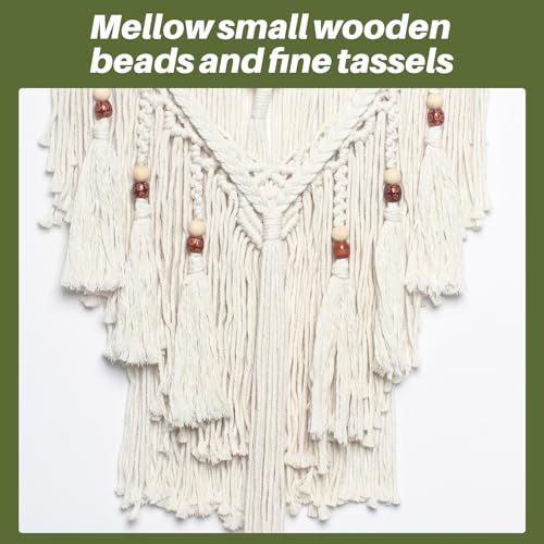 JONKASIPA Macrame Woven Wall Hanging, Bohemian Wall Decor Chic Woven Tapestry Handmade Crafts Tassel Lace Hanging Home Decor Perfect for Bedroom Living Room Apartment (Beige) - color: White Fringe