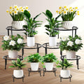 ESRICH 10 Pack Plant Stand, Metal Plant Stands for Outdoor Indoor Plants, Heavy Duty Plant Stands for Multiple Plant, Anti-Rust Iron Plant Pot Shelffor Planter, Potted Plant Holder for Garden Home