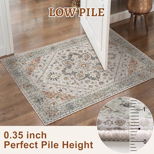 Tangsoo Vintage Small Washable Rugs for Entryway, 2x3 Rug Non Slip Grey Rug Throw Accent Indoor Front Door Distressed Door Mat, Soft Low Pile Area Rugs for Entrance Kitchen Bathroom - color: Light Grey/Beige, size: 2' X 3' (Rectangular)