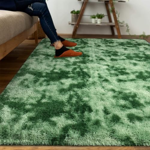 DweIke Fluffy Sage Green Shag Rugs for Bedroom Living Room, 3x5 Feet Soft Plush Tie-Dyed Mint Green Girls Boys Kids Rug, Non-Slip and Machine Washable Carpet for Dorm Nursery Classroom Decor - color: Light Green, size: 3 Ft X 5 Ft