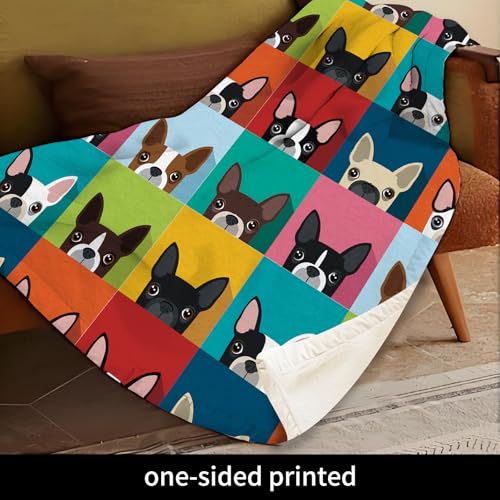 Throw Blanket for Couch, 300GSM Warm Soft Cozy Flannel Blanket, Cute Blanket for All Seasons Bedroom Home Decor Gifts, Colorful Funny Dogs 50x60 Inches - color: Colorful Funny Dogs
