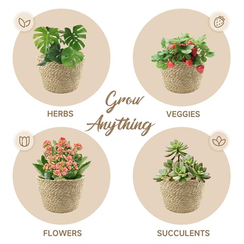 KJET 3PCS Seagrass Planter Basket with Plastic Liner, Boho Woven Plant Pots for Indoor Outdoor, Flower Baskets Containers for Garden and Home Decor