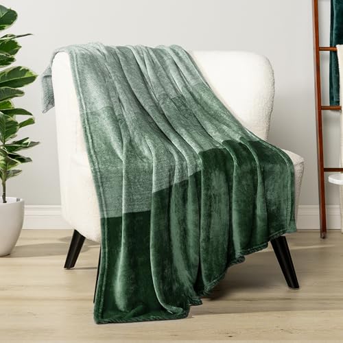PAVILIA Green Ombre Fleece Throw Blanket 50x60, Soft Lightweight Flannel Blanket for Couch Sofa Bed, Plush Emerald Gradient Microfiber Decorative Throw Gift - color: Gradient - Green, size: 50 x 60 Inches - Throw