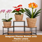 6 Pcs Plant Baskets Indoor with Plastic Liners, Wicker Hand Woven Plant Baskets, Flower Pots Storage Containers in 3 Sizes, Decorative Planters for Home, Balcony, Office