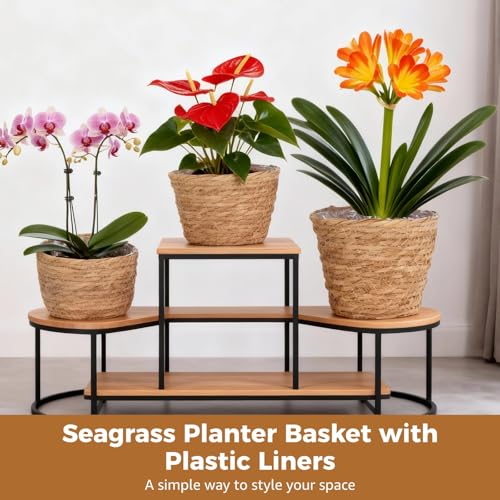 6 Pcs Plant Baskets Indoor with Plastic Liners, Wicker Hand Woven Plant Baskets, Flower Pots Storage Containers in 3 Sizes, Decorative Planters for Home, Balcony, Office