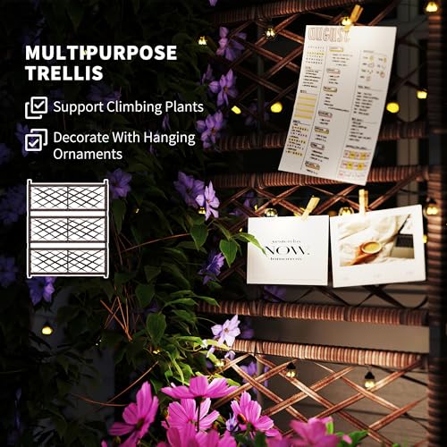 Outsunny Raised Garden Bed with Trellis, Outdoor Wicker Planter, Freestanding Rattan Planter Stand with Storage Shelf for Climbing Plants, Flowers, Herbs, Vegetables, Brown - color: Brown