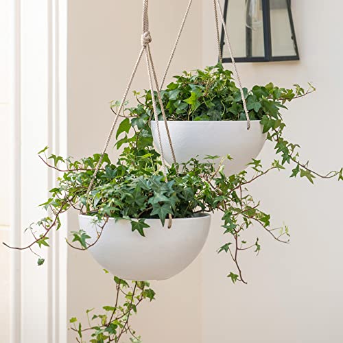 LA Jolie Muse Hanging Planter - 9.84 Inch Hanging Planters for Indoor Plants, Hanging Pots for Plants Indoor Outdoor, Set of 2, White - color: White, size: 9.84 Inch