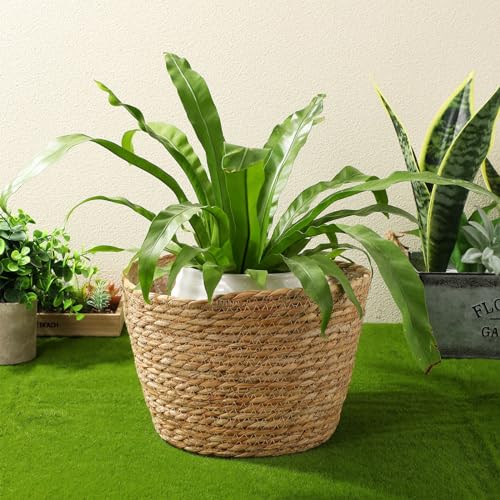 Beavorty Woven Flower Basket Plant Pot with Plastic Liner Indoor Outdoor Decorative Rattan Planter for Small Plants Succulents and Home Garden - size: 25X19CM