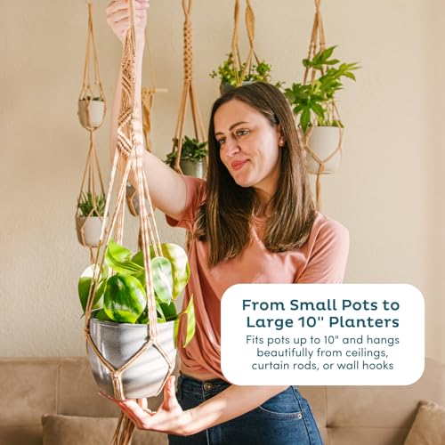 Nook Theory 6-Pack Macrame Plant Hangers with 12 Hooks - Hanging Planters for Indoor Plants, Boho Macrame Hangers Indoor Outdoor, Decorative Plant Hanger Indoor (Cream) - color: 6-pack Cream