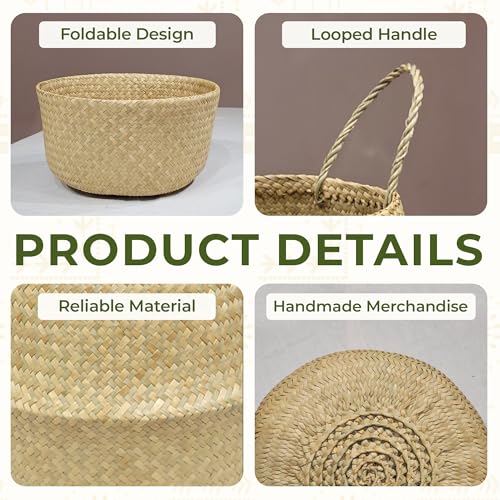 Seagrass Plant Basket Set of 3 with Handles – Handwoven Woven Basket Planter, Indoor Plant Basket & Plant Holder Basket, Natural Fiber Wicker Plant Pot Basket for Boho Farmhouse Home Decor - size: Set of 3 (with handles), style: With handles