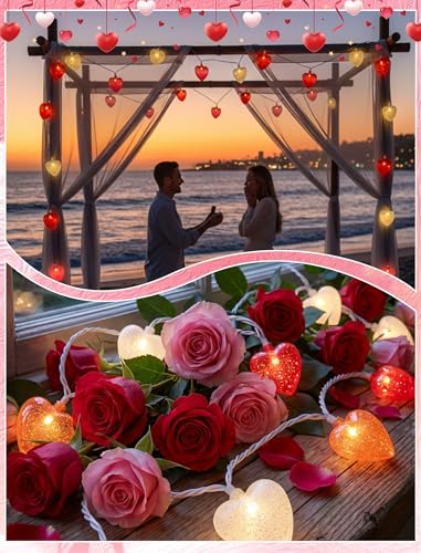 8.5ft Valentine’s Day Heart String Lights Plug in, Valentines Lights with 10 LED Red Pink White Shatterproof Bulbs, Fairy Lights for Indoor Outdoor Home Decor Wedding Party Birthday, Warm White - color: Red Pink White Frosted Heart